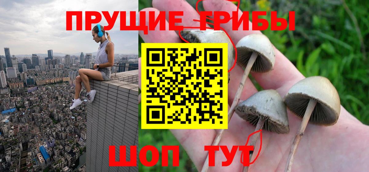 Ялта  Галлюциногенные грибы Cubensis  Вход с VPN 